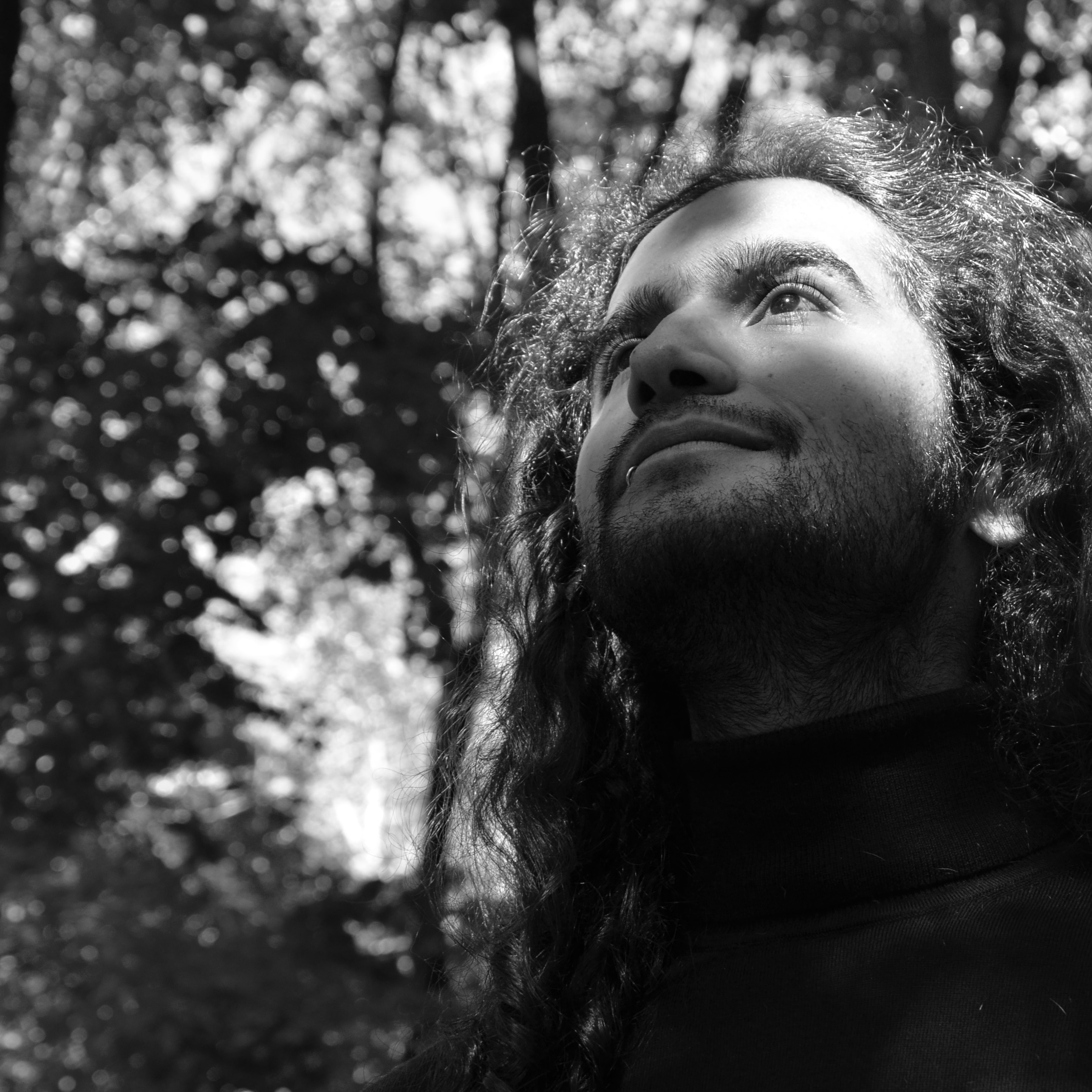 David in the Woods