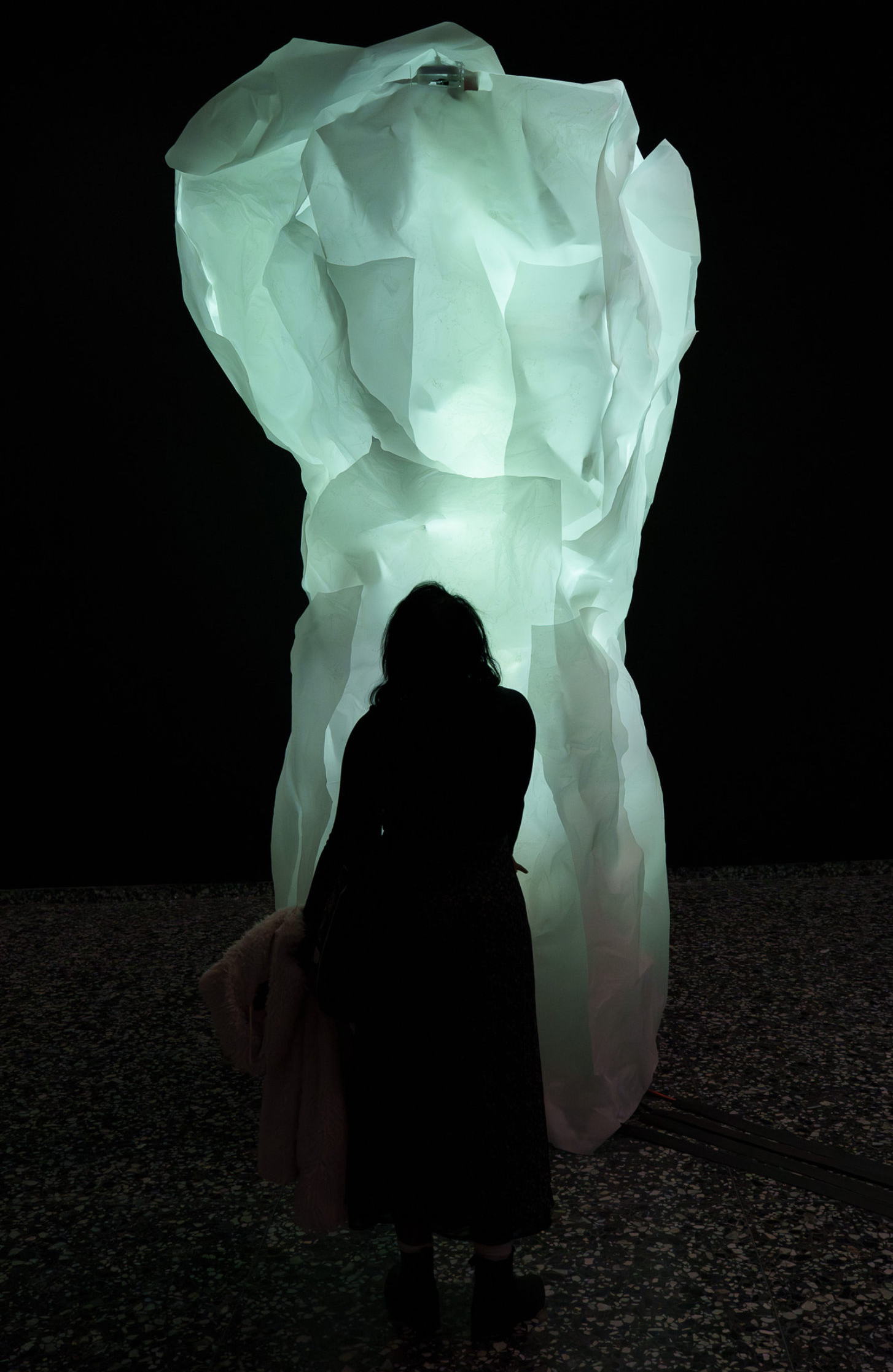 Tree of Life sculpture with a person occluding the light